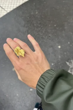 Shop Maison Guillemette BAGUE FABIOLA